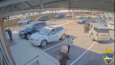 Good Samaritans save Florida mother, two small children from attempted kidnapper in dramatic video