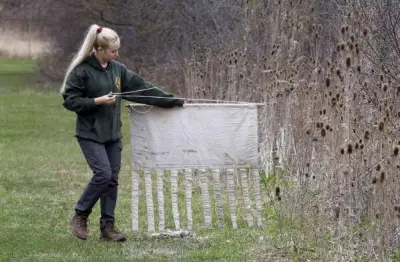 Warm weather bringing more ticks to the suburbs